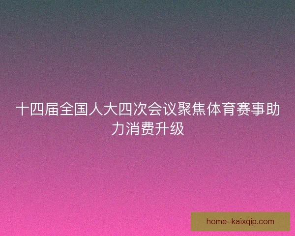 十四届全国人大四次会议聚焦体育赛事助力消费升级